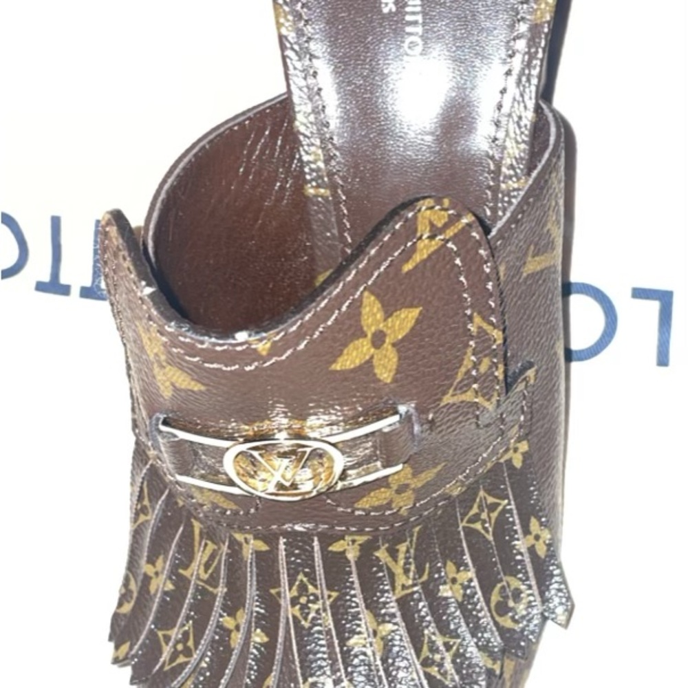 Brown leather Louis Vuitton heels never worn. Size 9